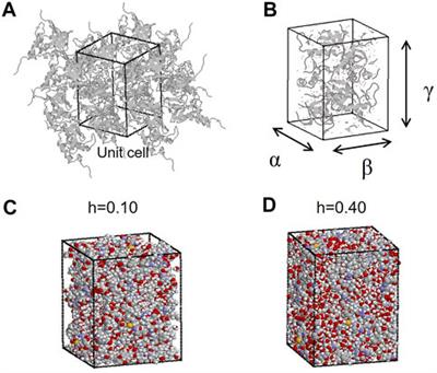 Hydration and its Hydrogen Bonding State on a Protein Surface in the Crystalline State as Revealed by Molecular Dynamics Simulation